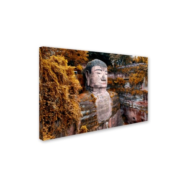 Philippe Hugonnard 'Giant Buddha I' Canvas Art,16x24